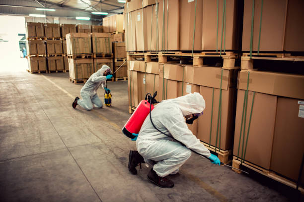Best Emergency Pest Control  in Schuyler, NE