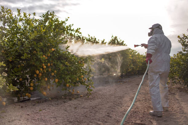 Best Wildlife Control Services  in Schuyler, NE
